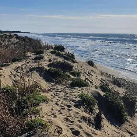 Zen Et Appartement *